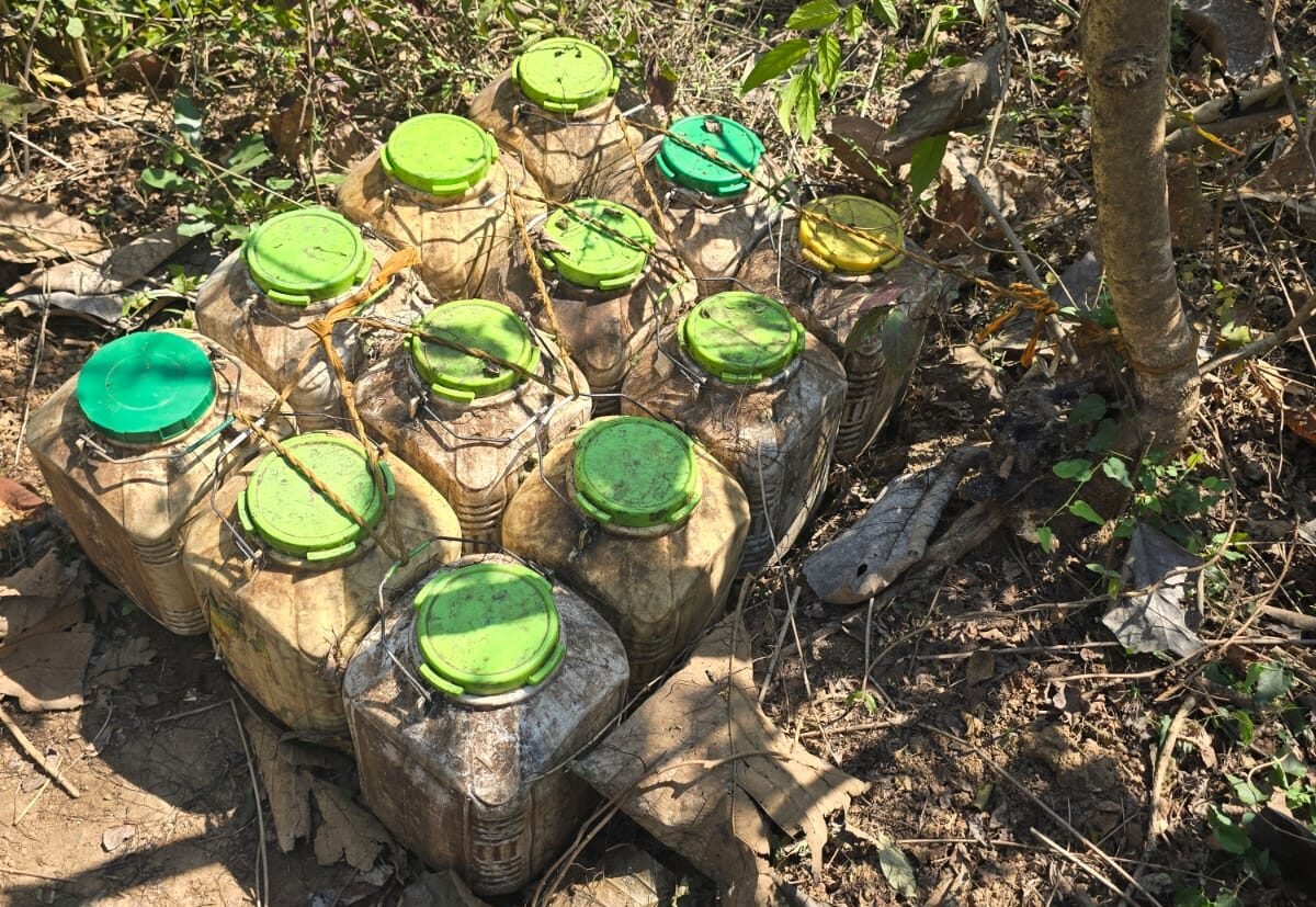 Excise and police launch a major strike against illegal liquor and lahan.